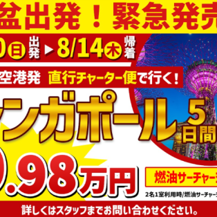 ＼お盆のシンガポールが衝撃プライス！／お急ぎください