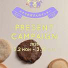 期間限定クーポン配信中✨️