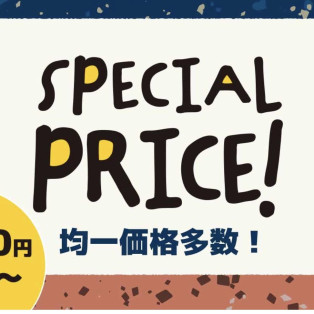 ＼ＳＰＥＣＩＡＬＰＲＩＣＥ／  