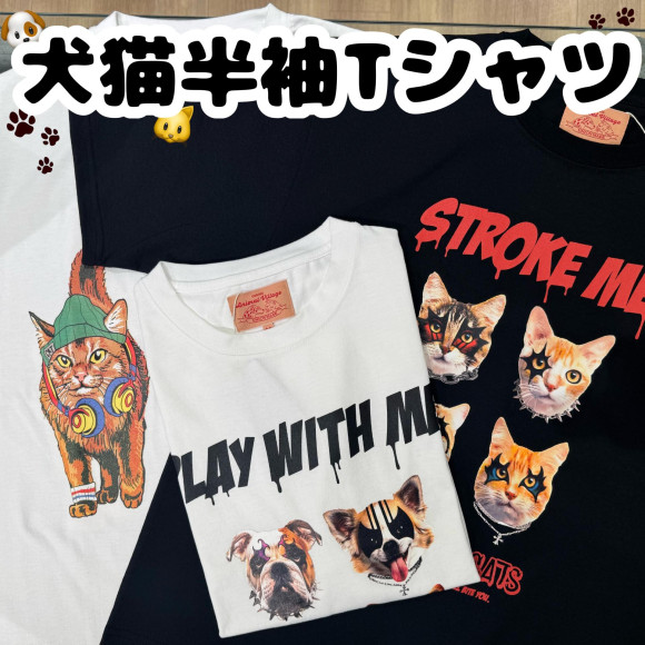 ☆Recommended item☆