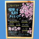 保険ってどれを選べばいいの？