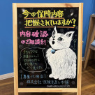 保険ってどれを選べばいいの？