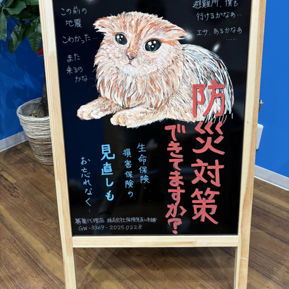 Which insurance should I choose?