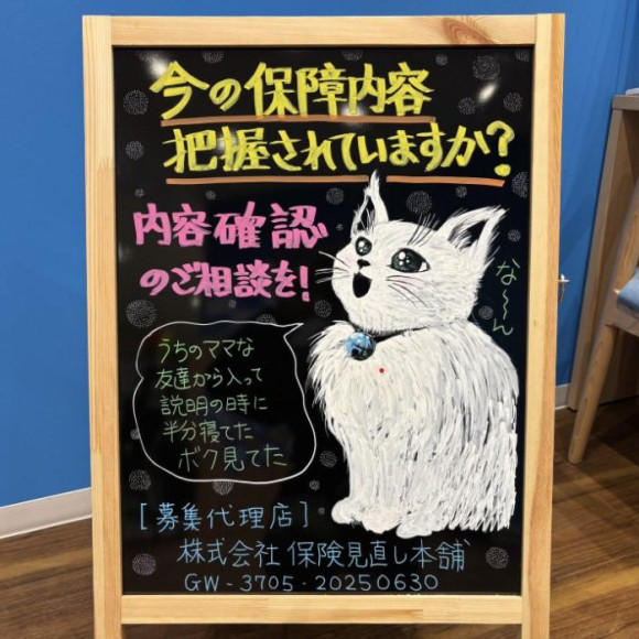 非常歡迎初學者! 