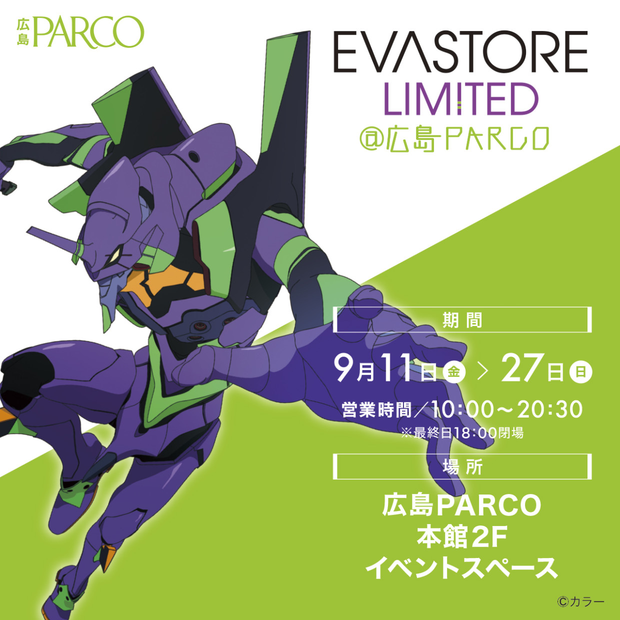 EVA STORE LIMITED