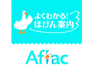 アフラック よくわかる!ほけん案内