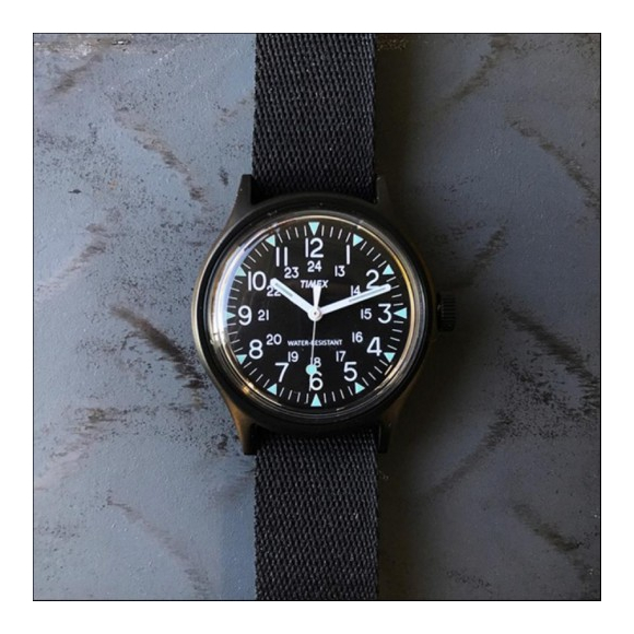 TIMEX タイメックス SST Camper キャンパー Japan Exclusive 【国内 ...