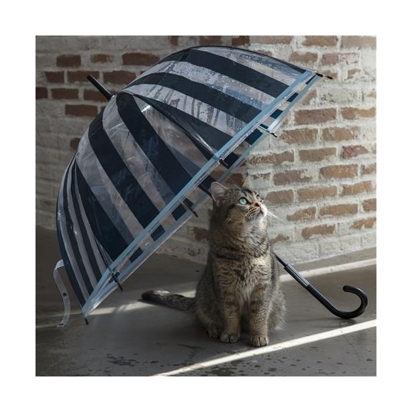 【レイングッズ】傘