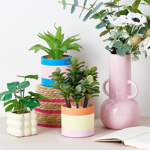 初夏を心地よく過ごす『2025 Summer Collection 第二弾』