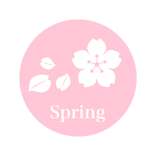 春の代名詞　桜デザインQUOカード