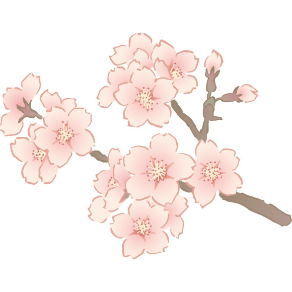 春の贈り物には、桜デザインＱＵＯカード