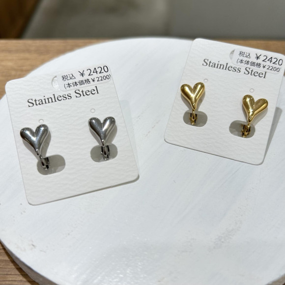 Stainless steel earrings