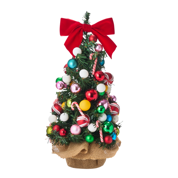 EVERYONE'S SPECIAL CHRISTMAS