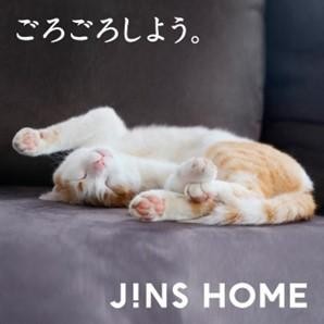 대호평!낀 채 누울 수 있는 안경 “JINS HOME” 발매중