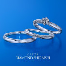 ★신작 세트링 발매★인피니티 플랜츠(Infinity Plants)