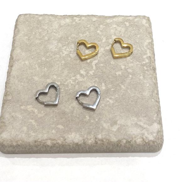 Stainless steel earrings