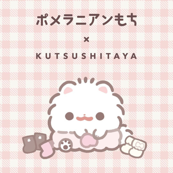 ポメラニアンもちx靴下屋 コラボ発売☆