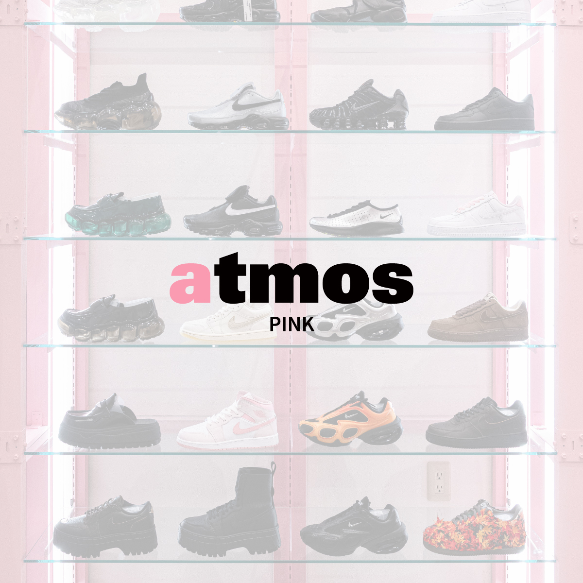 atmos pink │ New & Renewal