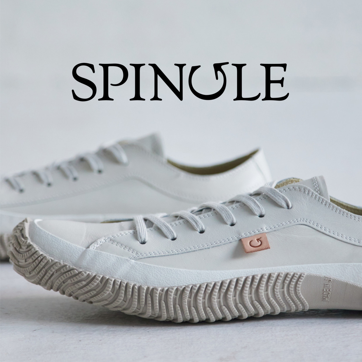 SPINGLE │ New & Renewal