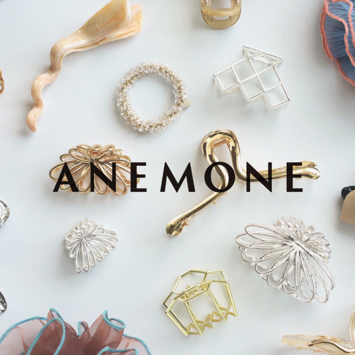 ANEMONE │ New & Renewal