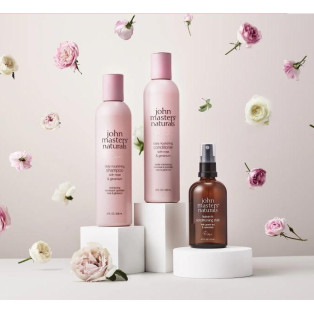2025 Rose Collection