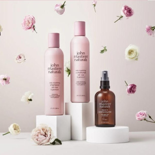 2025 Rose Collection