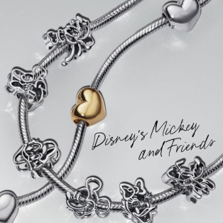 Mickey Friends