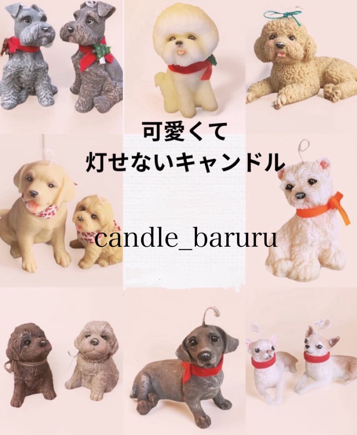 【期間限定SHOP】SD project POP UP SHOP