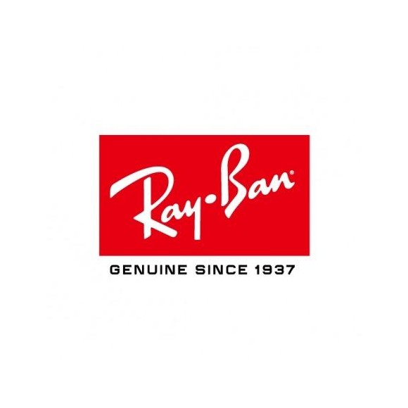 RAY-BAN コメント後変更価格レンズBLロゴ Ray Ban New Wayfarer RB2132 Replacement Decoration Icon Logo