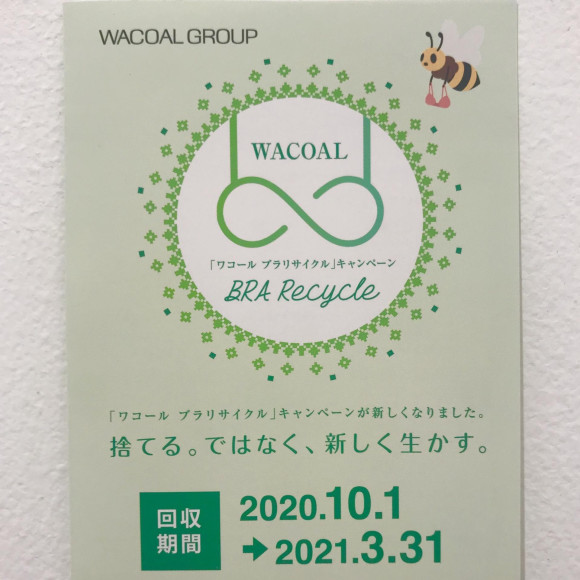 ご不要なブラ、回収します！
