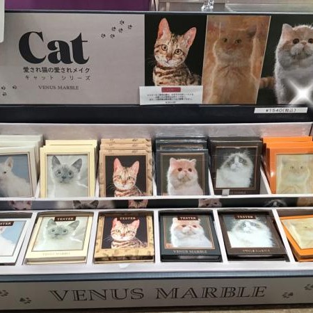 愛され猫の愛されメイク♡VenusMarble(ヴィーナスマーブル)発売中！