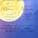 【New！】＊秋のブレンドアロマご紹介＊