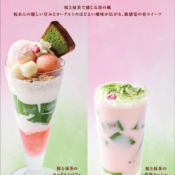 Closed soon Sakura × Matcha Sweets