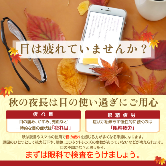 秋天的长夜要小心眼睛过度使用