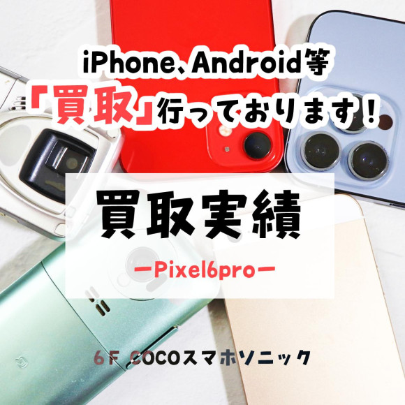[COCO smartphone sonic] I bought the Pixel 6pro! [Result of Purchase]