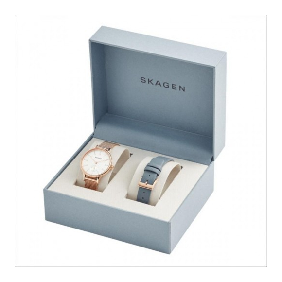 初売り Halの腕時計一覧はこちら【電池新品】SKAGEN/スカーゲン SKAGEN