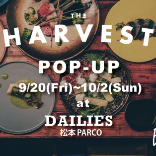 THE HARVEST POPUP