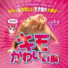 期間限定 2f One Piece 麦わらストア Little 松本 開催 パルコニュース 松本parco パルコ