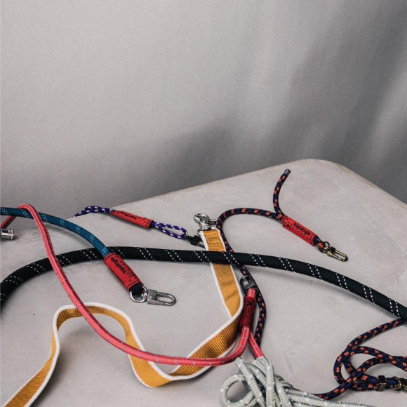 【topologie/トポロジー】