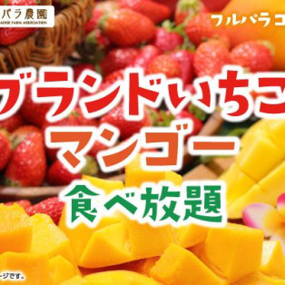 《国産ブランドいちご＆マンゴー食べ放題》開催します☆