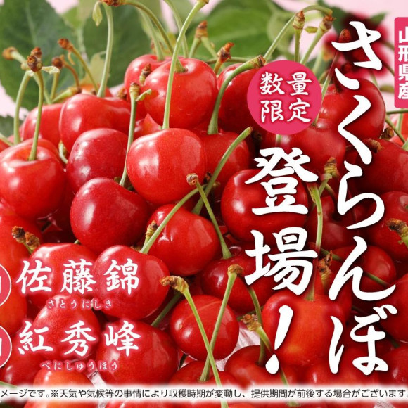 フルーツ食べ放題コースにファーストオーダー限定提供《さくらんぼ》が登場★