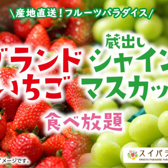 《ブランドいちご＆蔵出しシャインマスカット食べ放題》始まります♡