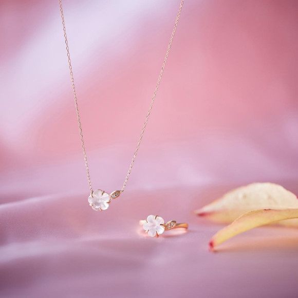 【Sakura Collection 2023】