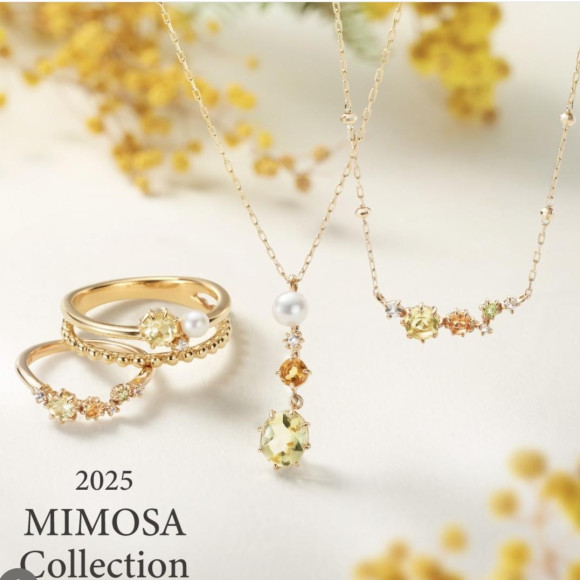 【2025 MIMOSA Collection】