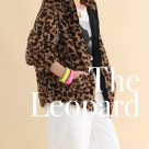 ■レオパードコレクション■