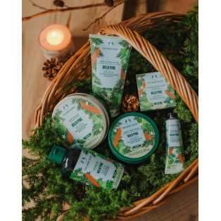 ザボディショップ　11/2発売開始！ 今年の限定フレーバー　WILD PINE