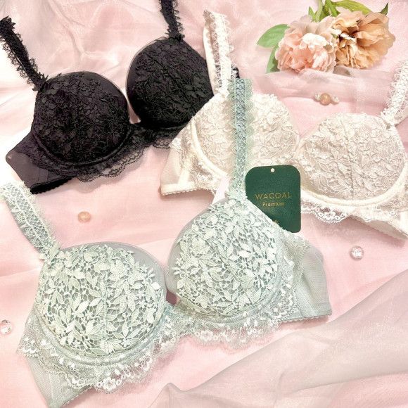 介绍Wacoal Premium的【简单可爱的胸罩】·