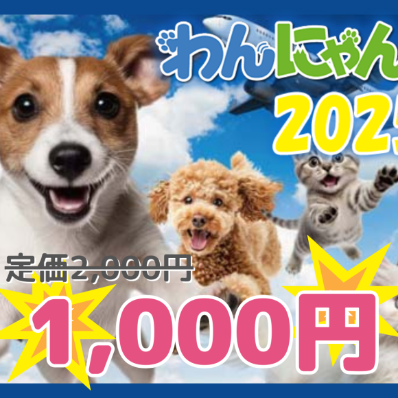 わんにゃんドーム2025