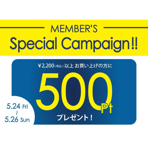 【キャンペーン】500PTプレゼント！