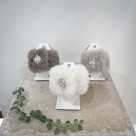 【この時期おすすめ】